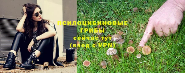 хмурый Абаза