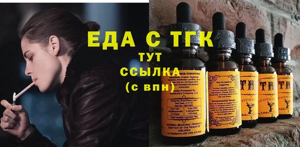 хмурый Абаза