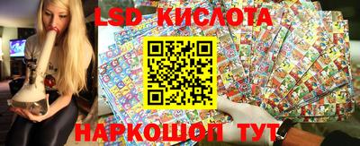 гидра Новокубанск