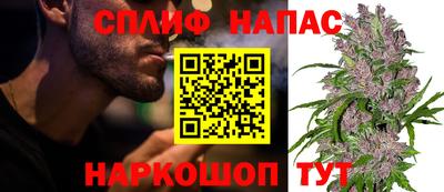 гашик Новодвинск