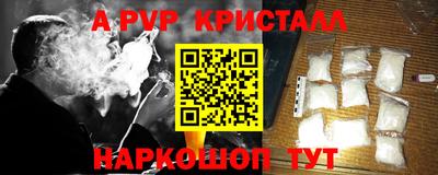 гашик Новодвинск