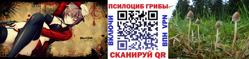 ссылка на мегу ONION Аксай Псилоцибиновые грибы Psilocybe